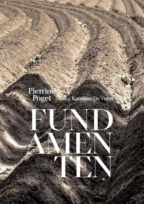 Fundamenten 9789056552411 Pierrine POGET, Boeken, Overige Boeken, Zo goed als nieuw, Verzenden