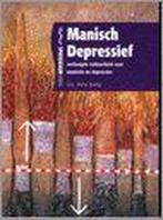 Manisch depressief 9789066112186 Hans Kamp, Boeken, Gelezen, Hans Kamp, H. Kamp, Verzenden