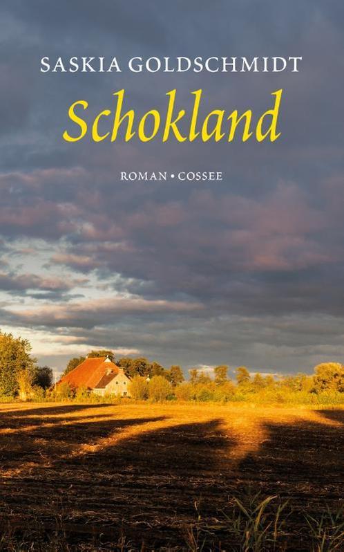 Schokland 9789059368040 Saskia Goldschmidt, Boeken, Romans, Zo goed als nieuw, Verzenden
