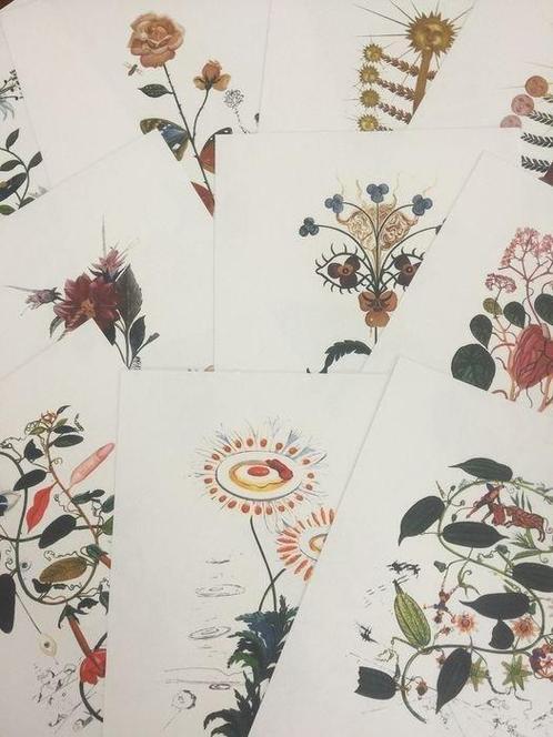 Salvador Dali (1904-1989) - 10 offset prints from the, Antiek en Kunst, Antiek | Overige Antiek