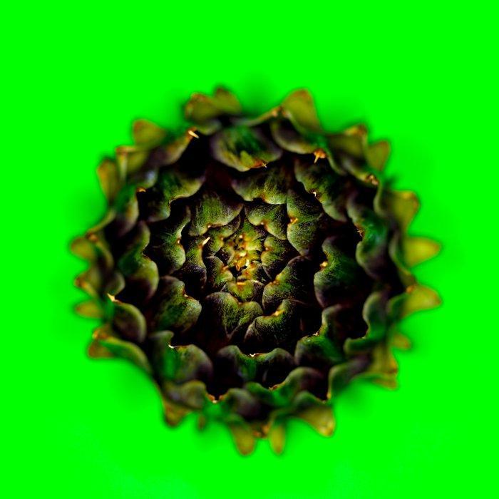 Oliver Hadji - Artichoke, Antiek en Kunst, Kunst | Designobjecten