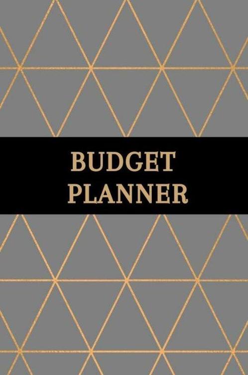 9789464483901 Budget planner - Kasboek - Huishoudboekje -..., Boeken, Economie, Management en Marketing, Nieuw, Verzenden