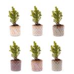 Mini-kerstboom set 6 - Inclusief pot set Madrid - Draadverli, Tuin en Terras, Verzenden