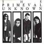 LP gebruikt - The Primeval Unknown - The Primeval Unknown, Verzenden, Zo goed als nieuw