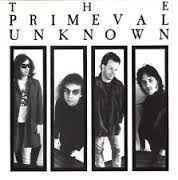 LP gebruikt - The Primeval Unknown - The Primeval Unknown, Cd's en Dvd's, Vinyl | Rock, Zo goed als nieuw, Verzenden