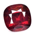 Oranje, Rood Granaat, Spessartiet - 8.86 ct - International, Nieuw