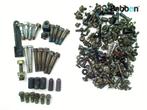 Bouten en Moeren Kawasaki J 300 2017-2019 (J300C SC300, Motoren, Verzenden, Gebruikt