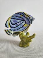 Collectie met dierenthema - Poisson-Papillon de Meyers –