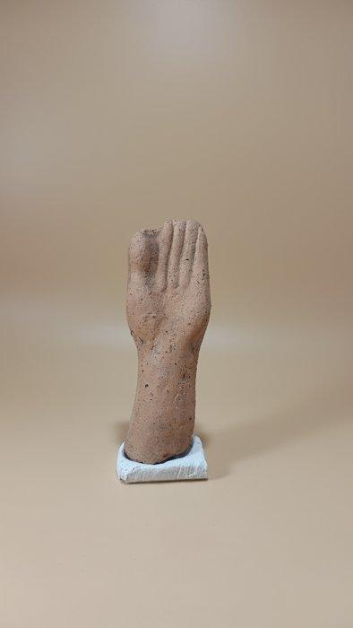 Etruscan Terracotta Votive model, of een hand, Verzamelen, Mineralen en Fossielen