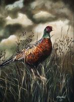 Anita Csapó - Pheasent before the storm