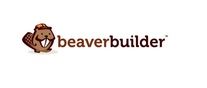 Beaver Builder Licentie, Diensten en Vakmensen, Computer en Internet experts, Internet marketing en Promotie