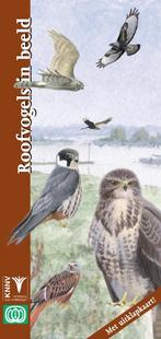 Roofvogels in beeld / In beeld / 19 9789050112741, Verzenden, Zo goed als nieuw, D.M. de Vos