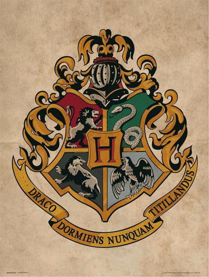 Kunstdruk Harry Potter - Hogwarts Crest 30x40cm, Huis en Inrichting, Woonaccessoires | Schilderijen, Tekeningen en Foto's, Nieuw