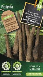 Protecta Groente zaden: Schorseneer Zwarte Russische, Tuin en Terras, Bloembollen en Zaden, Ophalen of Verzenden