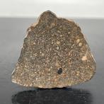 LL3.1 Chondriet-meteoriet NWA 13567 - 6 g