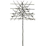Leibeuk - Carpinus Betulus - Omtrek: 10-14 cm | Hoogte: 320, Tuin en Terras, Planten | Bomen, Ophalen of Verzenden