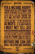 Poster Harry Potter Quotes 61x91,5cm, Nieuw, A1 t/m A3, Verzenden