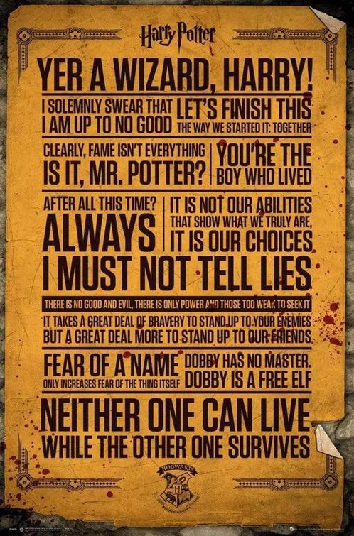 Poster Harry Potter Quotes 61x91,5cm, Verzamelen, Posters, Nieuw, A1 t/m A3, Verzenden
