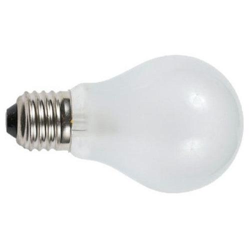 Bieden: Ancor 25W 24V light bulb screw on white - 532025, Watersport en Boten, Bootonderdelen, Elektra en Verlichting, Nieuw, Zeilboot of Motorboot