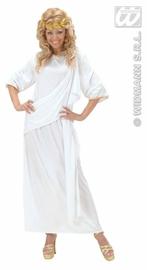 Toga unisex kostuum, Ophalen of Verzenden, Nieuw