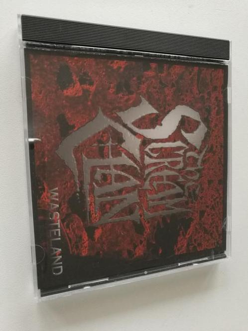 cd - The Scream Clan  - Wasteland, Cd's en Dvd's, Cd's | Overige Cd's, Zo goed als nieuw, Verzenden