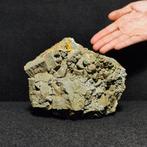 Unica Melnikovite pseudomorfe pyriet, museaal, zeer