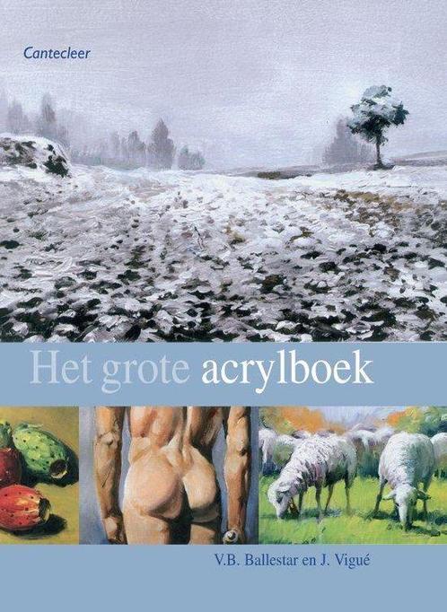 Het Grote Acrylboek, Boeken, Overige Boeken, Ophalen of Verzenden