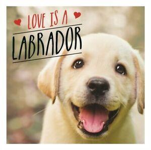 Love is a Labrador A Lab-Tastic Celebration of the Worlds, Boeken, Overige Boeken, Gelezen, Verzenden