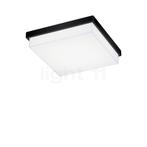 Helestra Cosi Plafondlamp LED, zwart mat - 21 cm, Verzenden, Nieuw