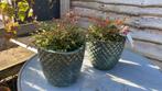 Wezep: decoratieve potten voor planten en bomen, Tuin en Terras, Bloempotten, Ophalen, Balkon, 40 cm of meer, Rond