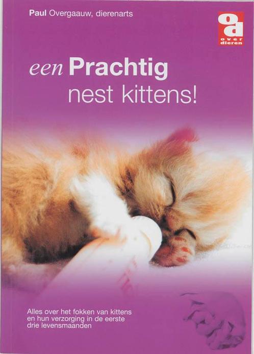 Een prachtig nest kittens! / Over Dieren / 0028 P. Overgaauw, Boeken, Hobby en Vrije tijd, Gelezen, Verzenden