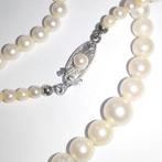 Zonder Minimumprijs - Halsketting 18 kt witgoud -, Nieuw