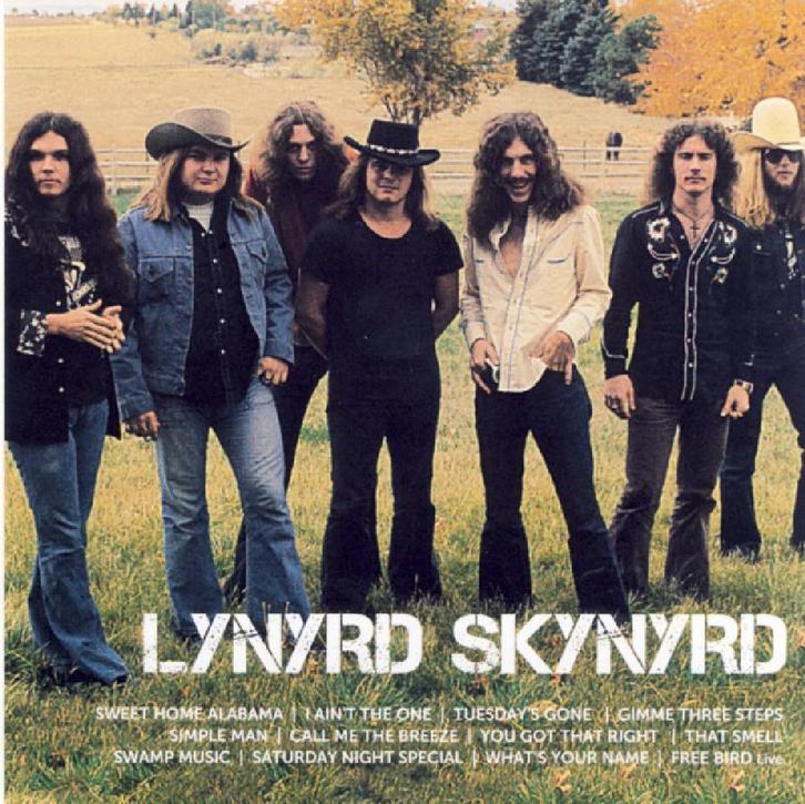 cd - Lynyrd Skynyrd - Icon, Cd's en Dvd's, Cd's | Overige Cd's, Zo goed als nieuw, Verzenden