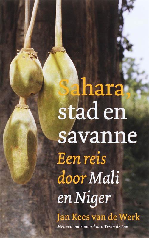 Sahara, stad en savanne 9789068324792 J.K. van de Werk, Boeken, Reisverhalen, Zo goed als nieuw, Verzenden