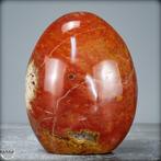 Natuurlijke rode Agaat Amethist Vrije vorm- 1006.66 g, Verzamelen, Mineralen en Fossielen
