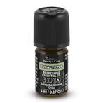 Beauty & Care Eucalyptus etherische olie 20 ml.  new, Ophalen of Verzenden, Nieuw, Aroma