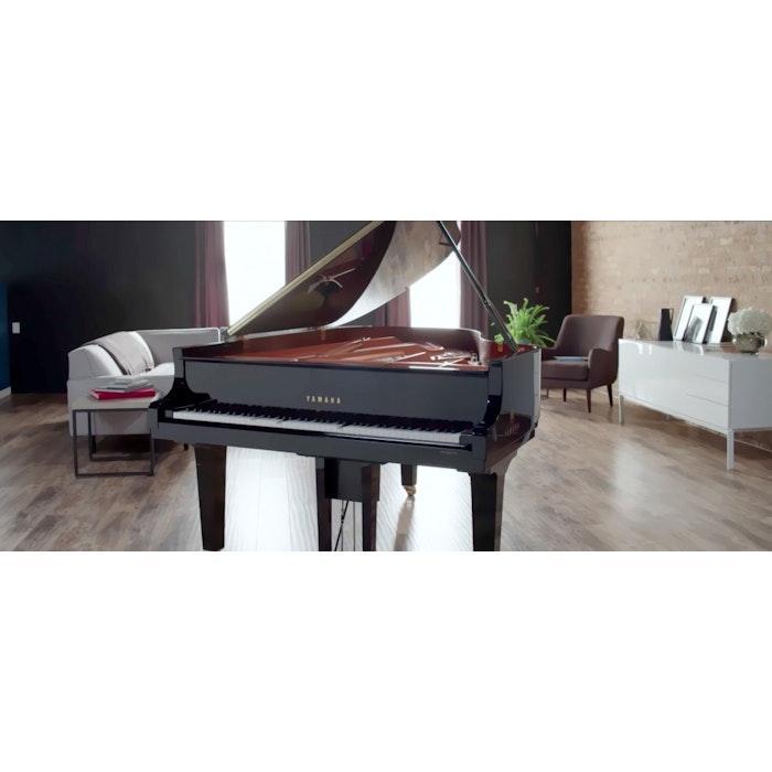 Baby Vleugels, Muziek en Instrumenten, Piano's