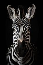 Arnold Mariashin - Zoo 18 - XL - No reserve