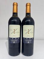 1994 Bodegas Palacios Remondo, Dos Viñedos - Rioja Gran, Nieuw