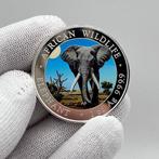 Somalië. 100 Shilling 2025 – African Wildlife Series –