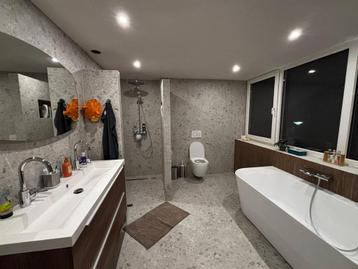 Renovatie / toilet / badkamer beschikbaar voor biedingen