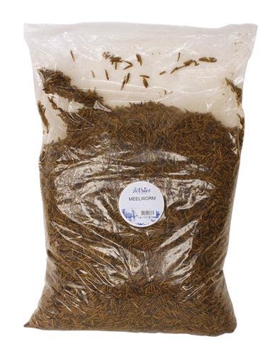 Meelworm Black Soldier Fly - 5 KG (397507), Dieren en Toebehoren, Vogels | Hokken en Kooien, Verzenden