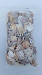 Mantelschelp stuks. Jacobsschelp 400 gr 400 gram, Hobby en Vrije tijd, Knutselen, Ophalen of Verzenden, Nieuw