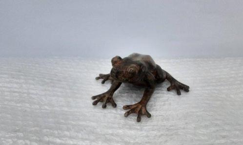 P. Chenet - Figuur - Kikker - 14,5 cm - Brons, Antiek en Kunst, Curiosa en Brocante