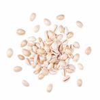 100 Kauri Schelpen, Verzenden, Nieuw