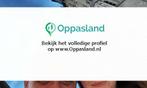 Daan zoekt een oppas in Zutphen voor 2 kinderen., Vacatures, Vacatures | Overige Vacatures