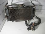 Yamaha TDM 850 Radiateur radiator, Motoren, Ophalen of Verzenden, Nieuw