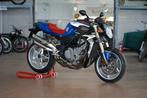 MV Agusta - Brutale America - 750 cc - 2005, Motoren