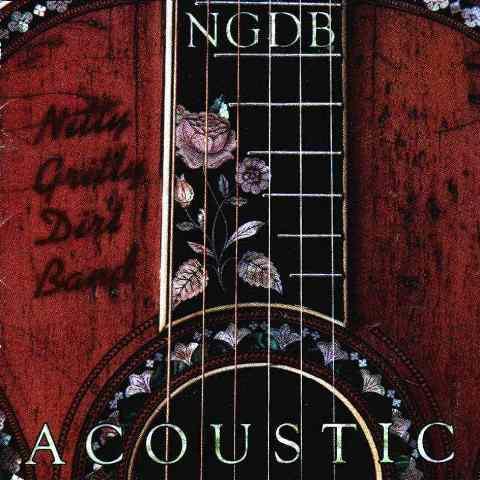 cd - Nitty Gritty Dirt Band - Acoustic, Cd's en Dvd's, Cd's | Overige Cd's, Zo goed als nieuw, Verzenden