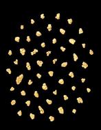 Goud Goud nugget- 2.23 g - (53)